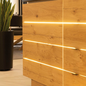 1. Bobine Led COB